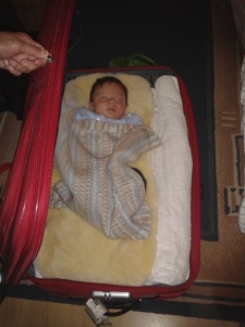 leon_in_suitcase